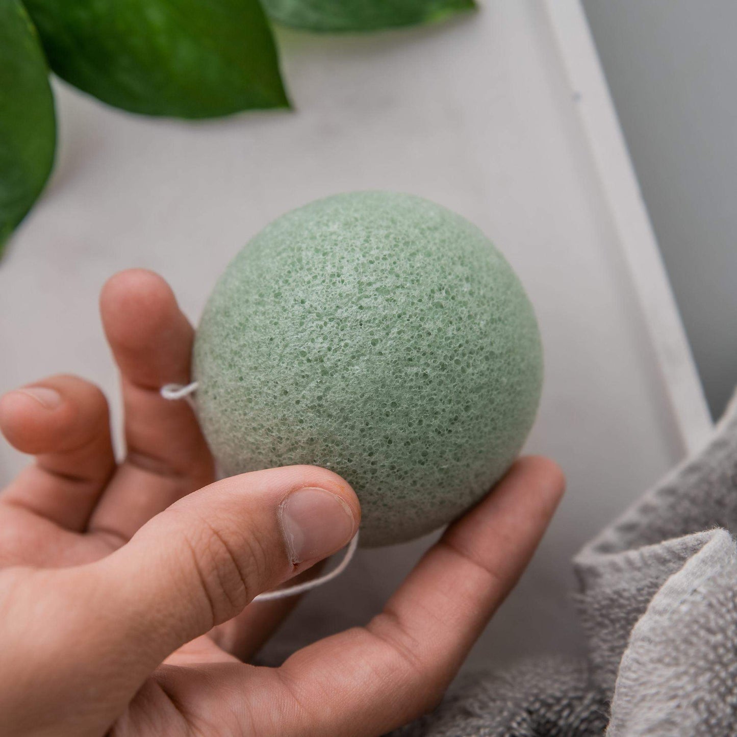 Konjac Sponge (Duo)-1