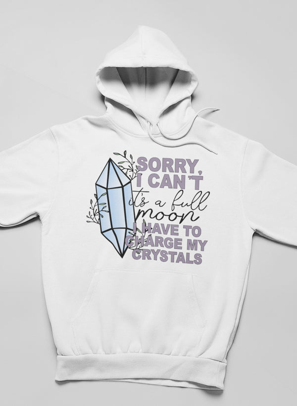 I Have To Charge My Crystals Hoodie-1