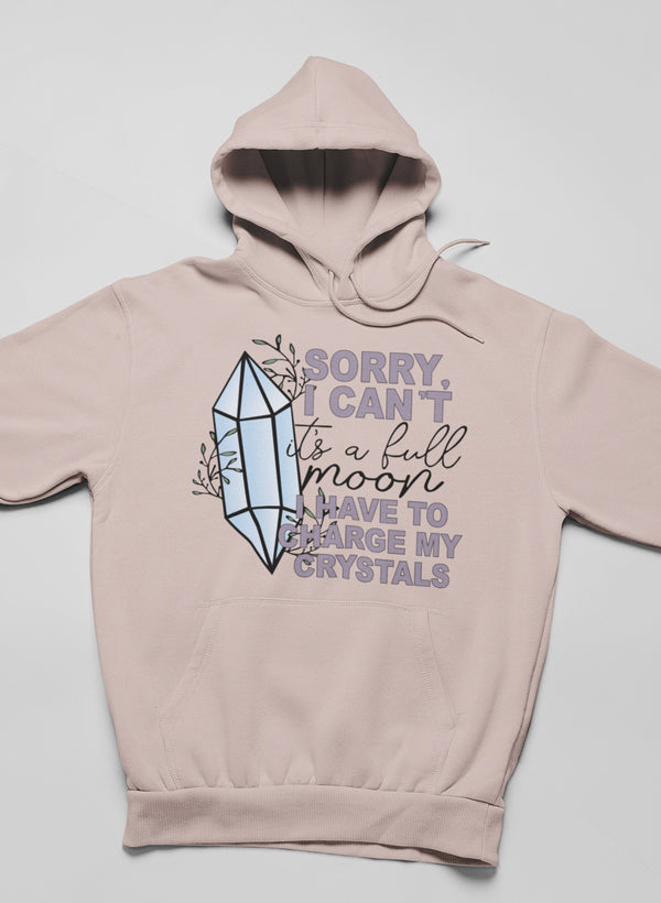 I Have To Charge My Crystals Hoodie-0